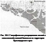 Подпись: Рис. 10.4. Географическое распределение лесной и сельскохозяйственной биомассы на территории Краснодарского края 