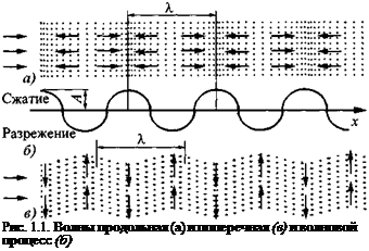 Подпись: Рис. 1.1. Волны продольная (а) и поперечная (в) и волновой процесс (б) 