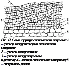 Подпись: Рис. 11. Схема структуры плазменного покрытия: 1 — граница между частицами напыленного материала; 2 — граница между слоями; 3 — граница между покрытием и деталью; 4 — частица напыленного материала; 5 — поверхность детали 