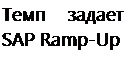 Быстрый и простой переход на SAP ERP с помощью программы SAP Ramp-Up