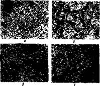 Влияние марганца, титана и ниобия на структуру хромоннкелевых швов