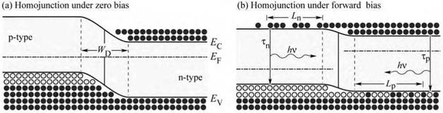 Carrier distribution in p-n homojunctions