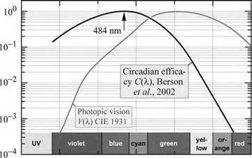 Circadian rhythm and circadian sensitivity